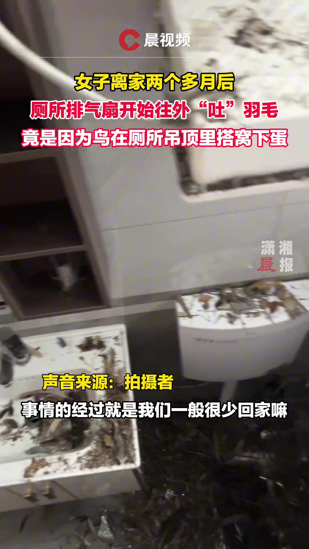 女子离家两个多月后 厕所排气扇开始往外“吐”羽毛