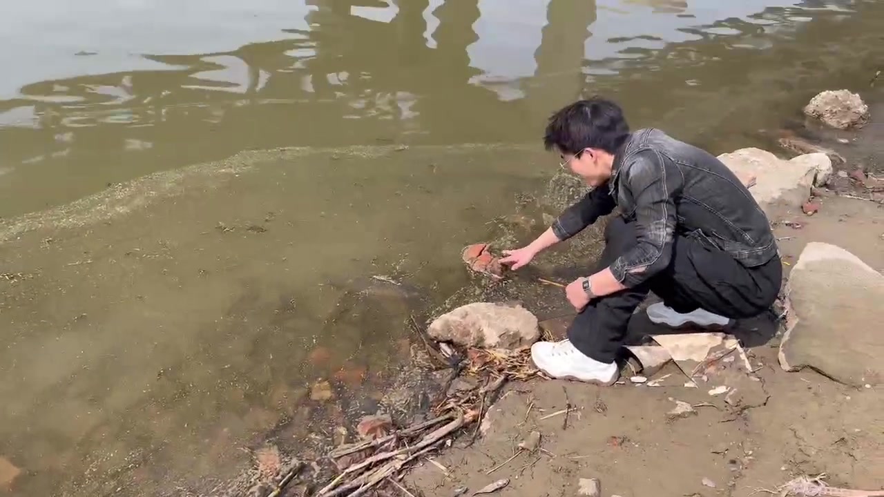 捕鱼达人，真是疯了