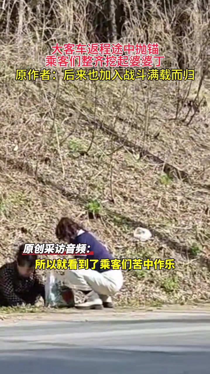 客车半路抛锚，乘客们集体挖婆婆丁