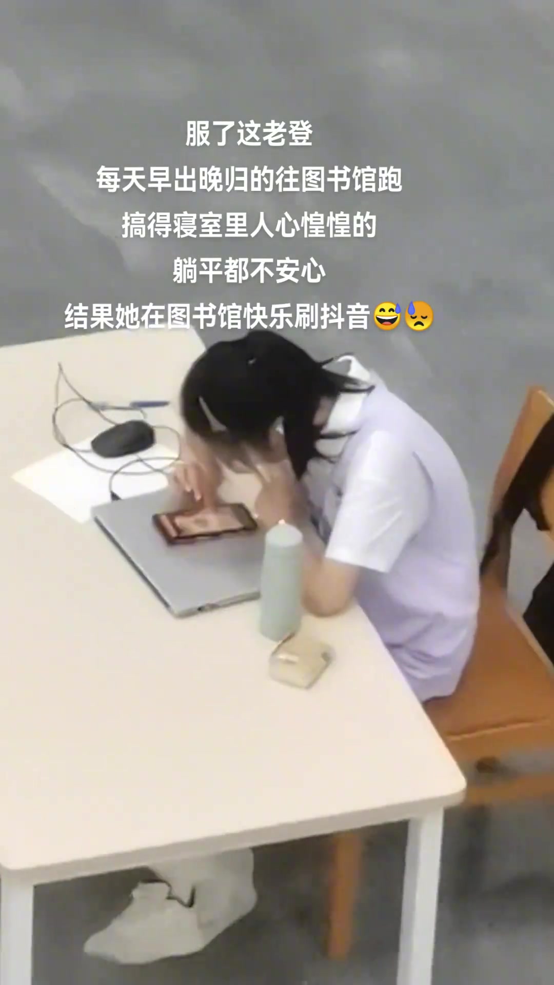 一天八百个情绪的带刺玫瑰