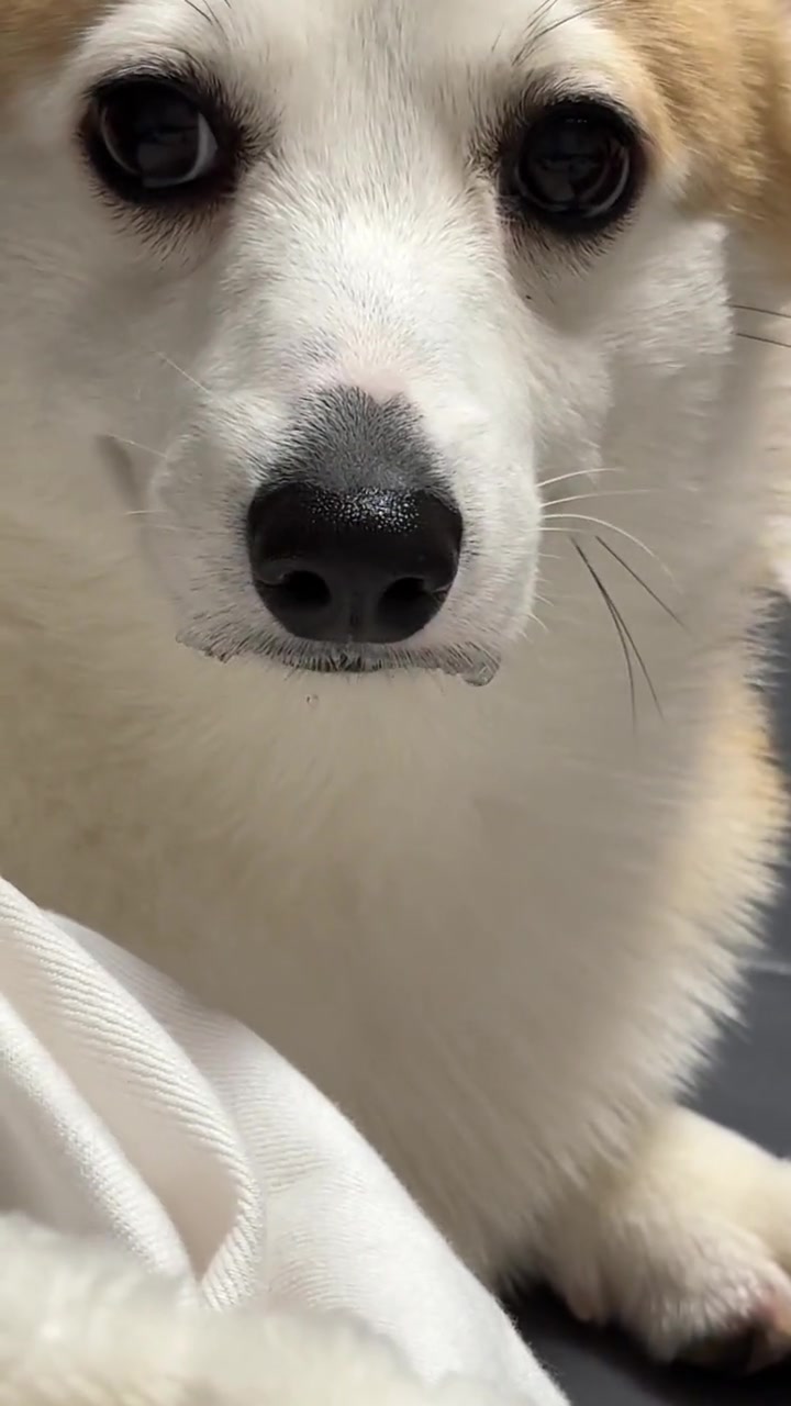 这多大一滴口水啊
