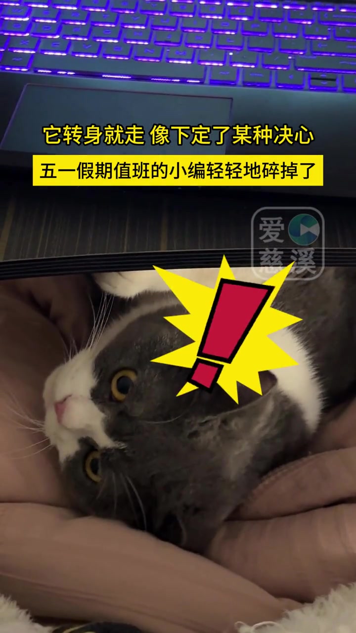一个五一假期值班的小编轻轻地碎掉了