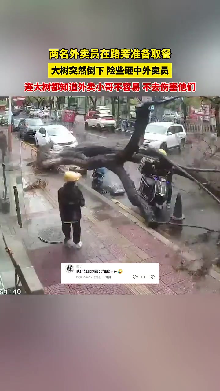 大树突然倒下！险些砸中外卖员，上天不会惩罚勤奋人！
