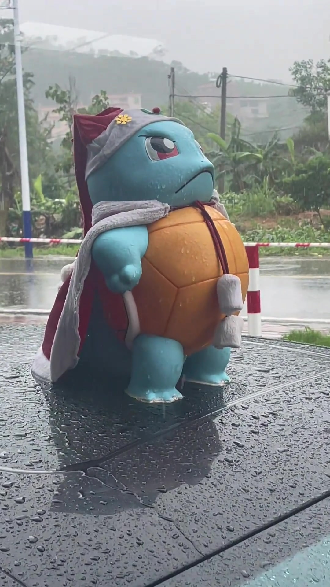 杰尼龟：这点雨我会怕吗