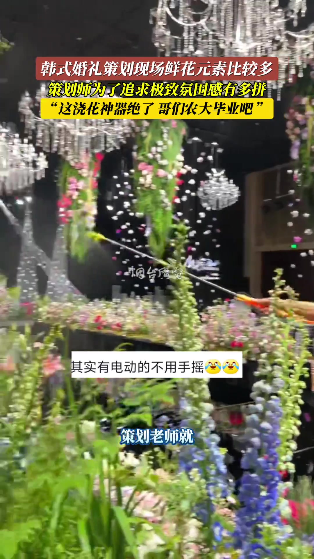 婚礼策划师为了追求现场极致氛围感有多拼