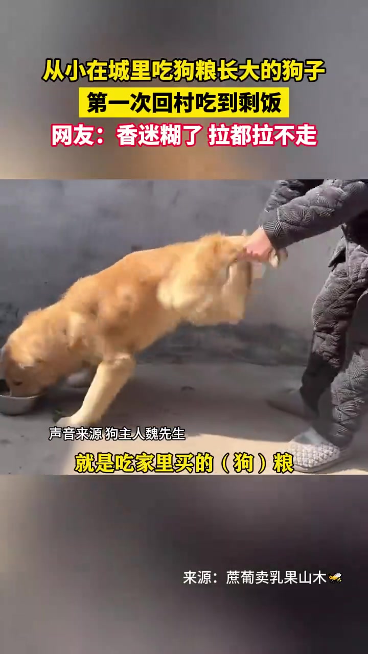 绝绝子！暴风吸入了捏！