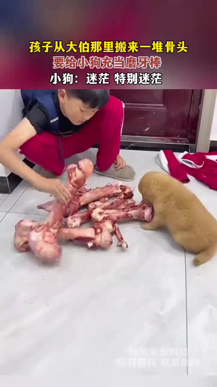 在最无助的年纪遇到最想守护的东西