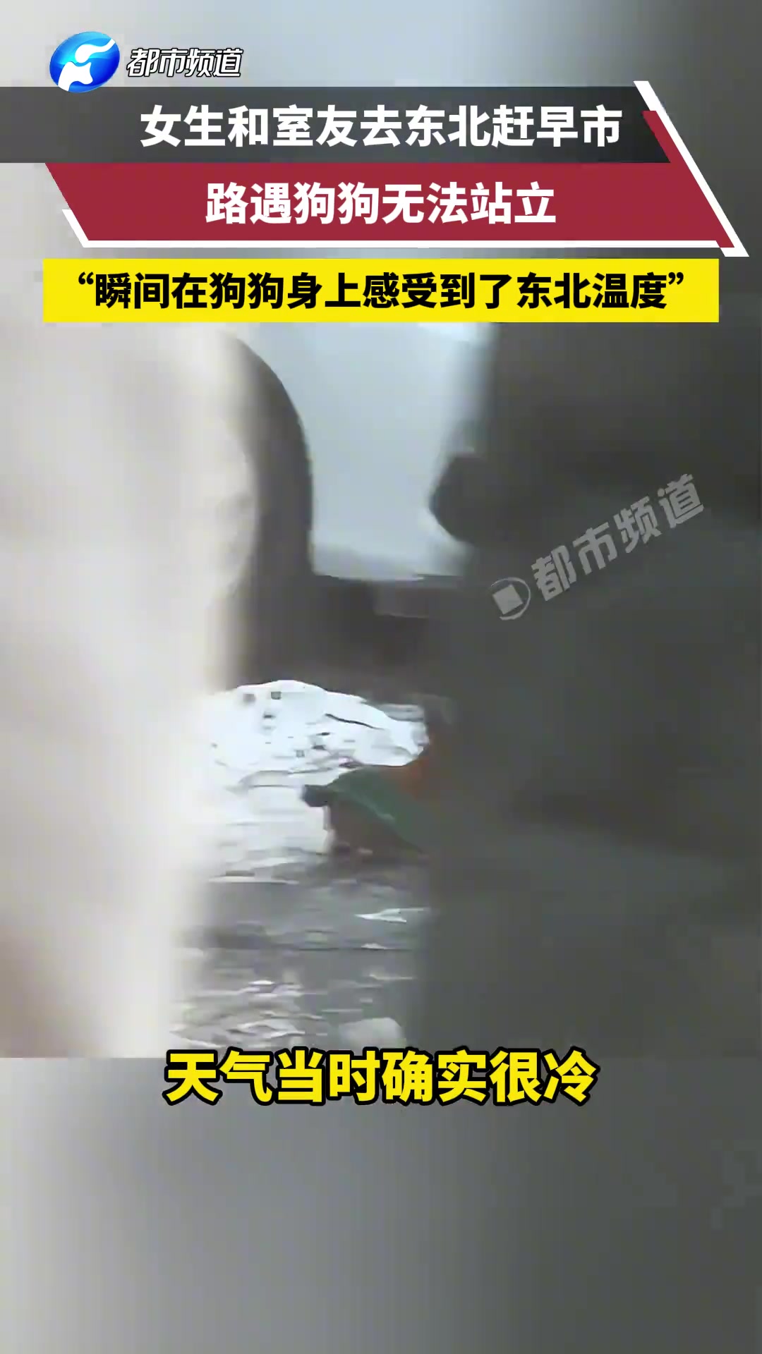 这就是街舞！