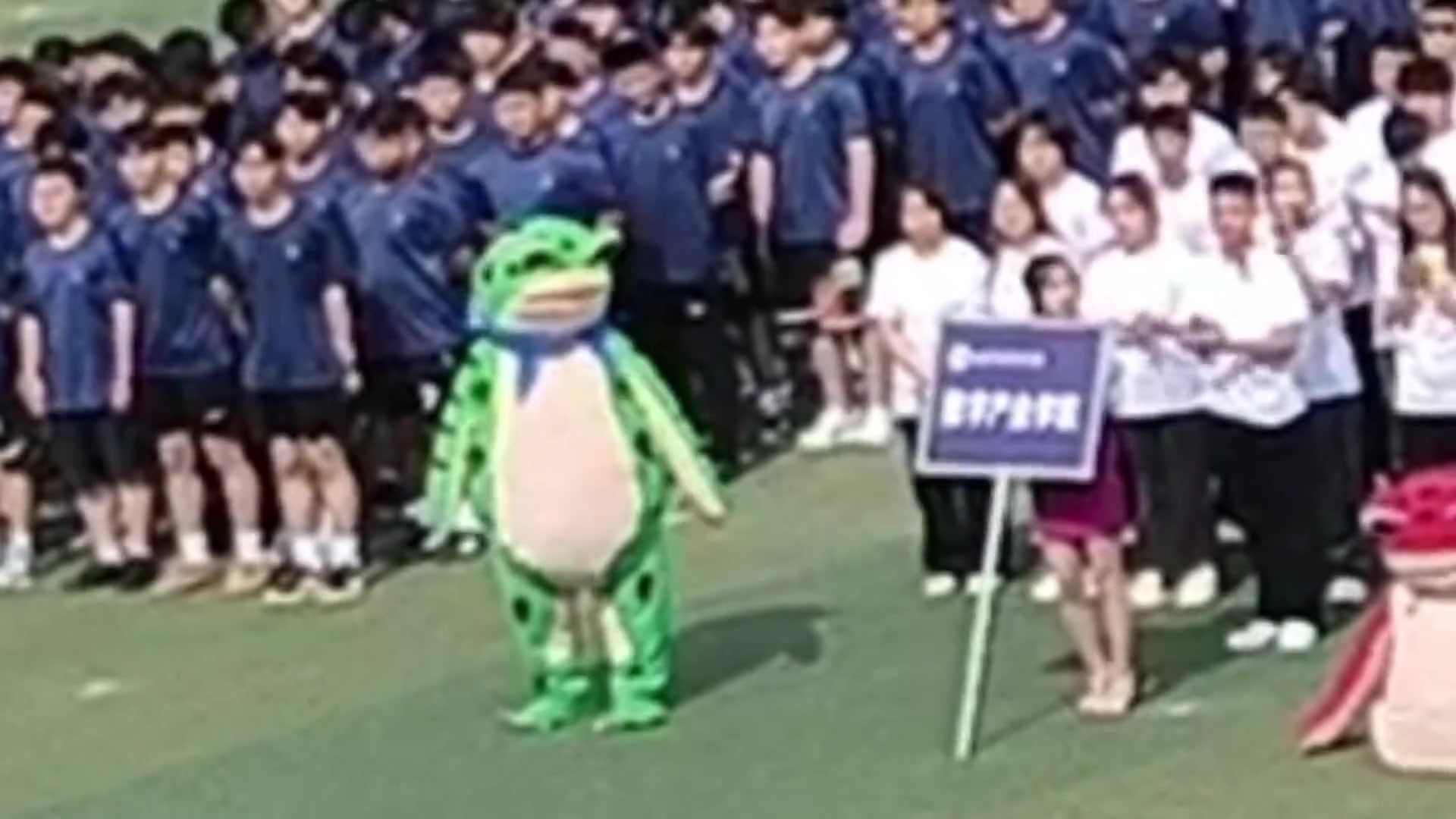 在学校哪有不疯的