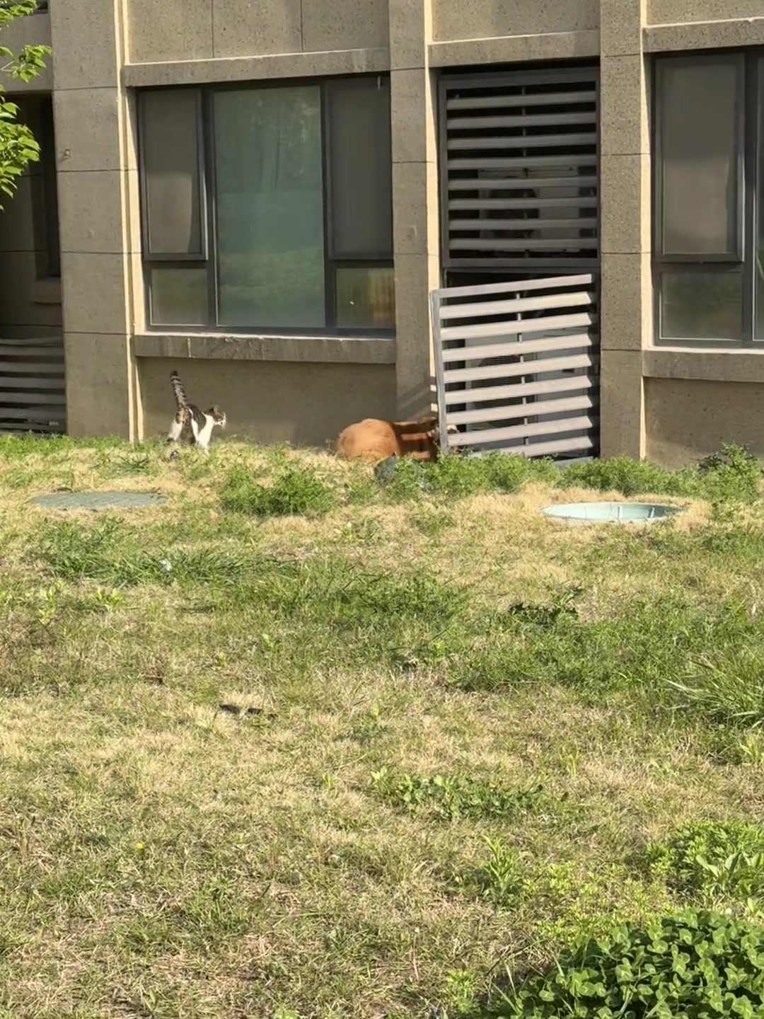 狗子：本来今天开开心心