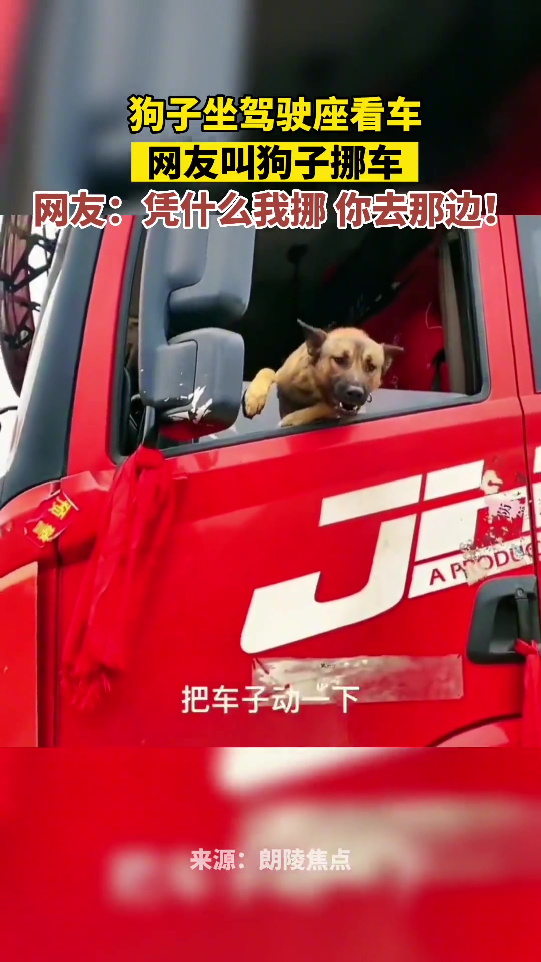 听过对牛弹琴，没见过劝狗挪车