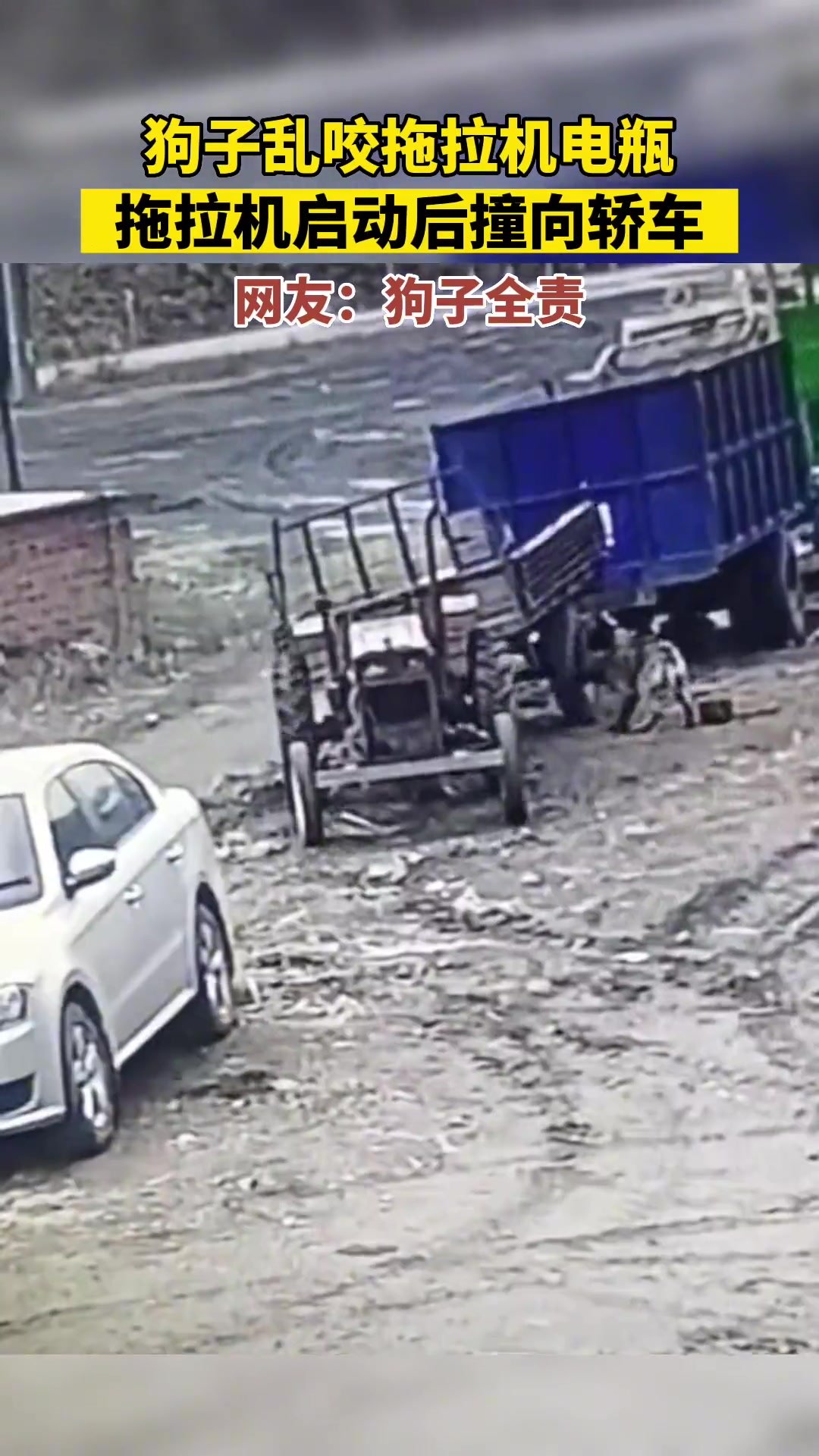 狗子乱咬电瓶不慎启动拖拉机