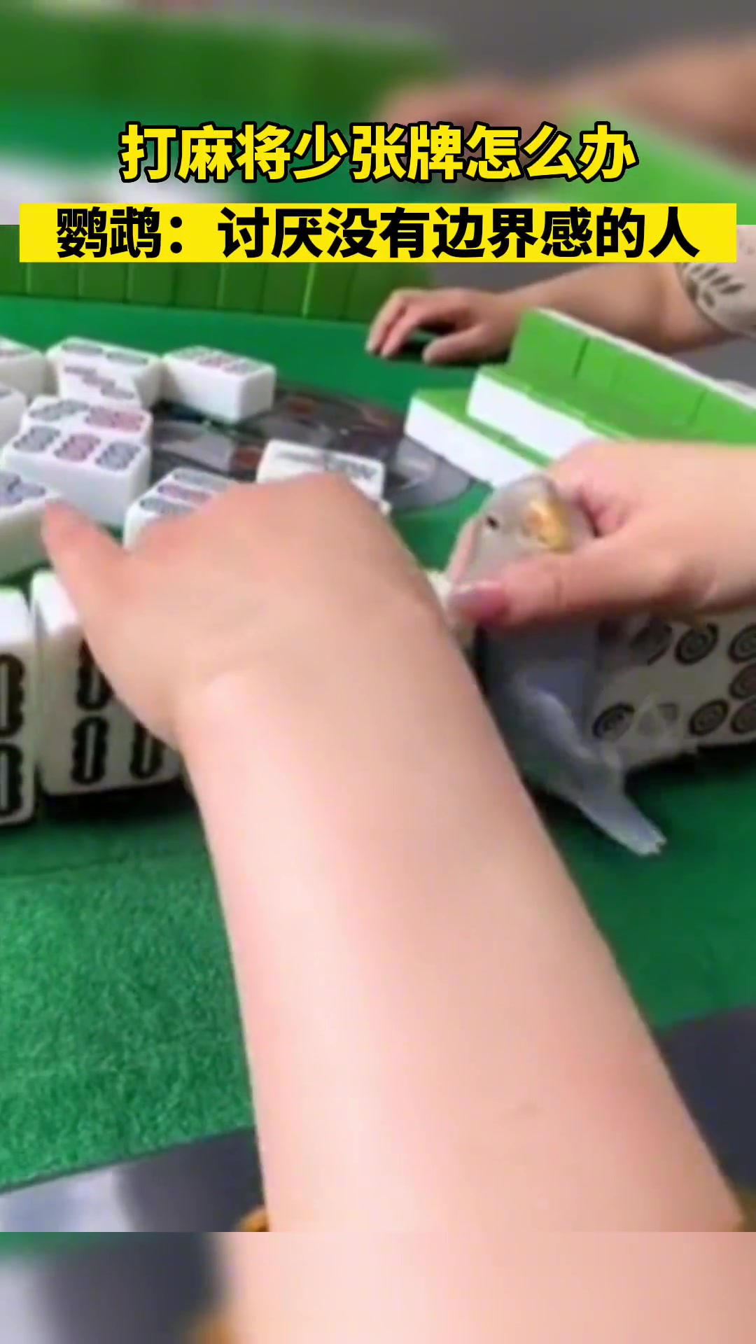 鹦鹉：虽然我不是人，但你们是真的鸟