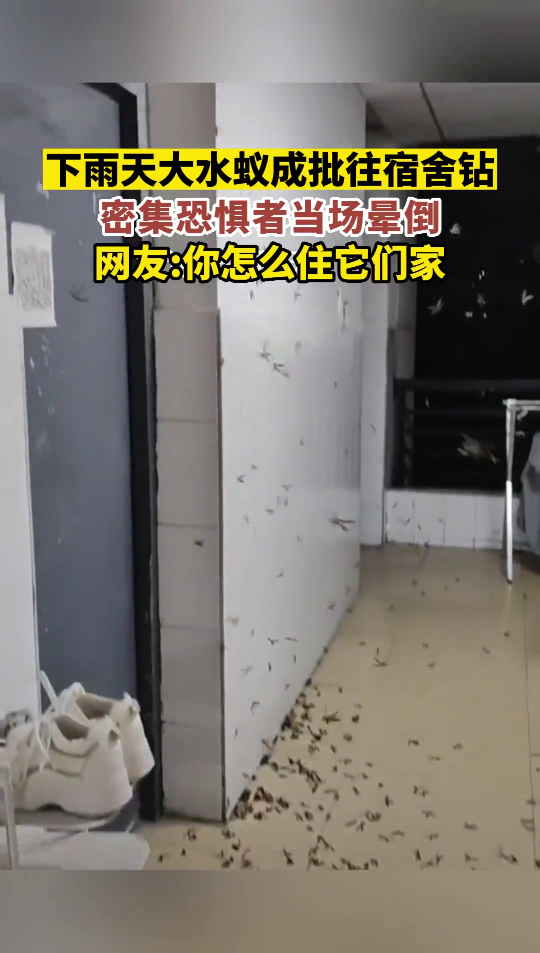 这时候应该请几个癞蛤蟆进来吃自助