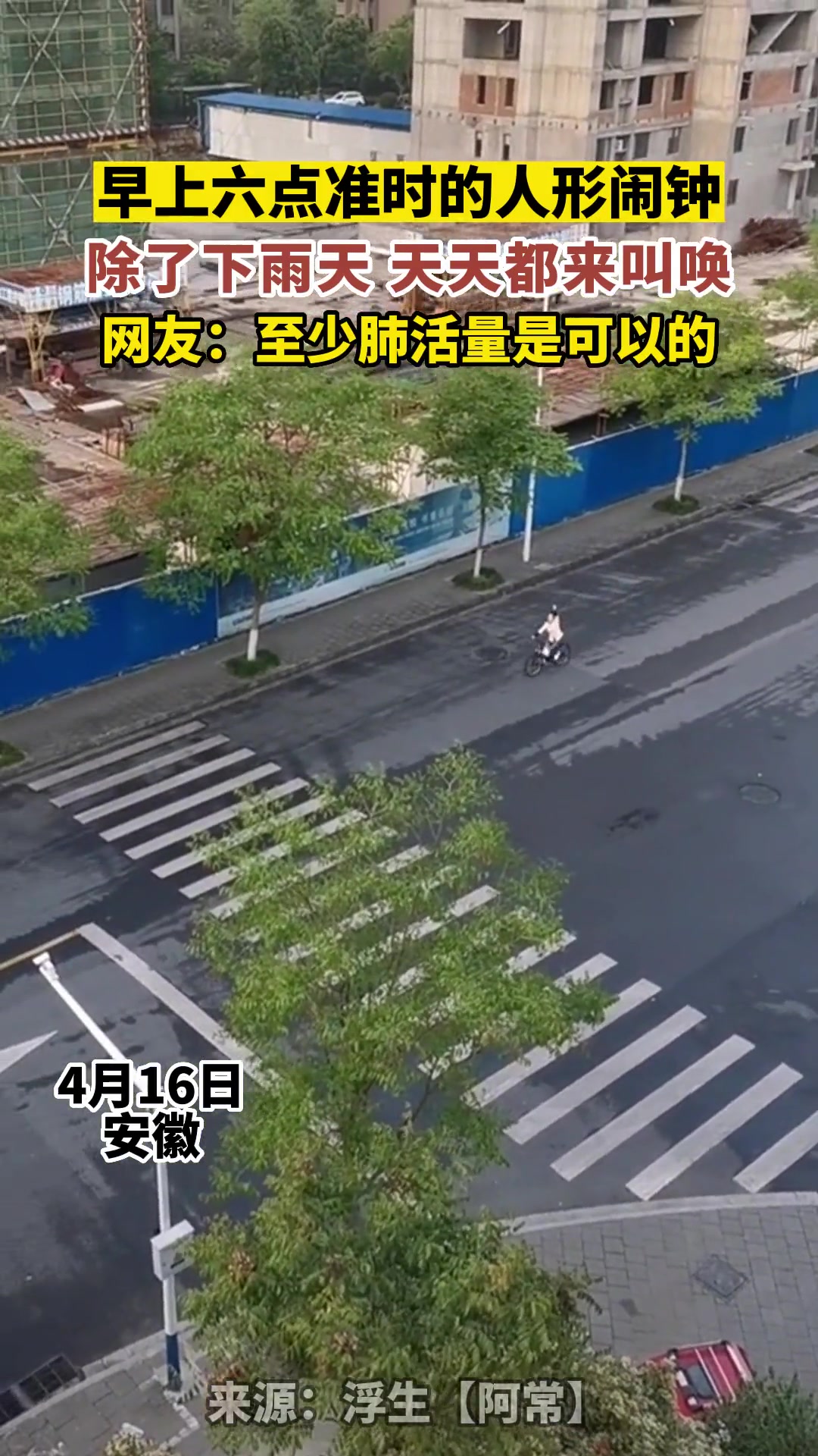 早上六点准时的人形闹钟，除了下雨天，天天都来叫唤