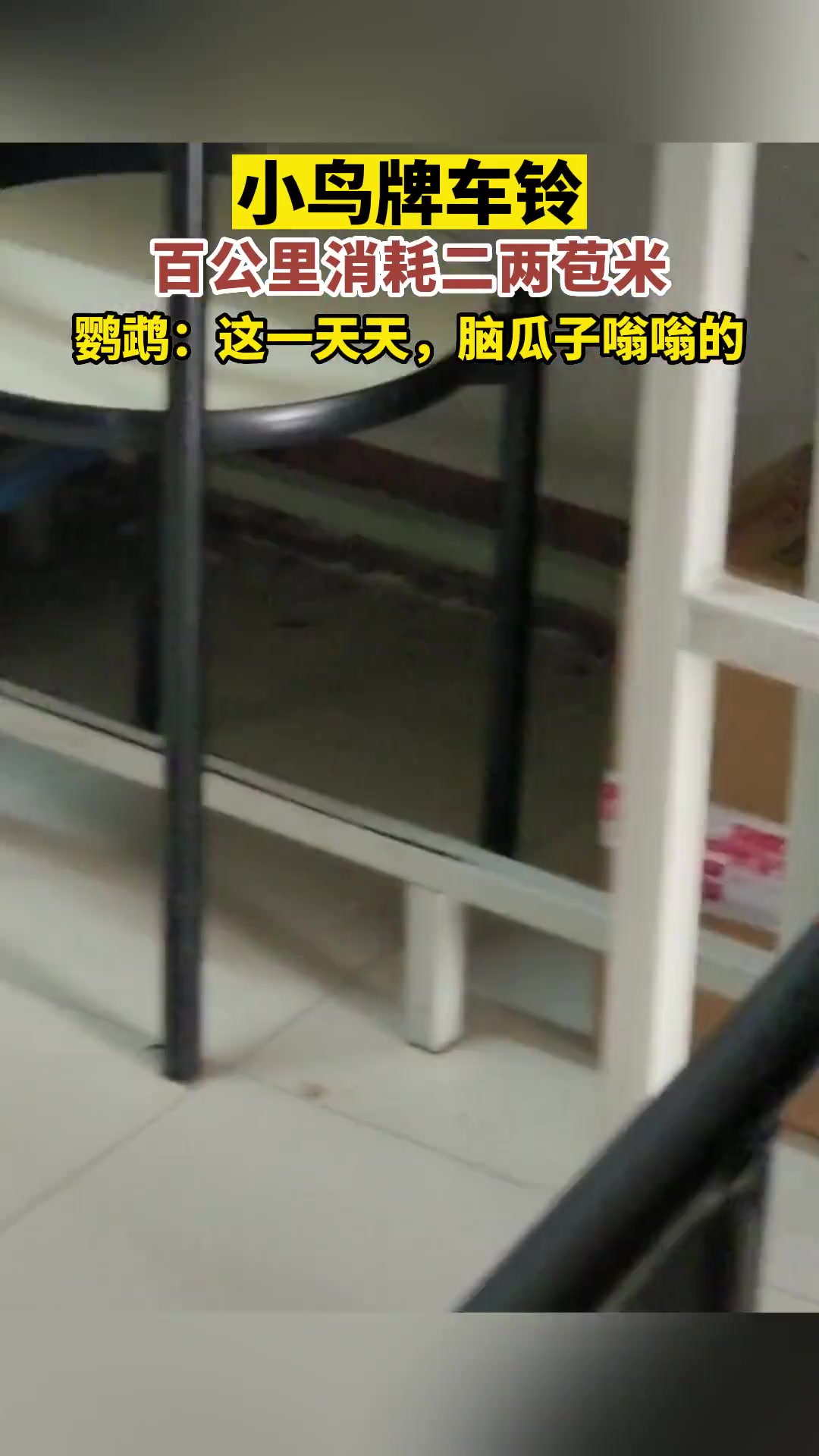 小鸟牌车铃，百公里消耗二两苞米