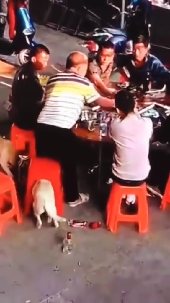 看了监控后确定这狗子百分百是故意的