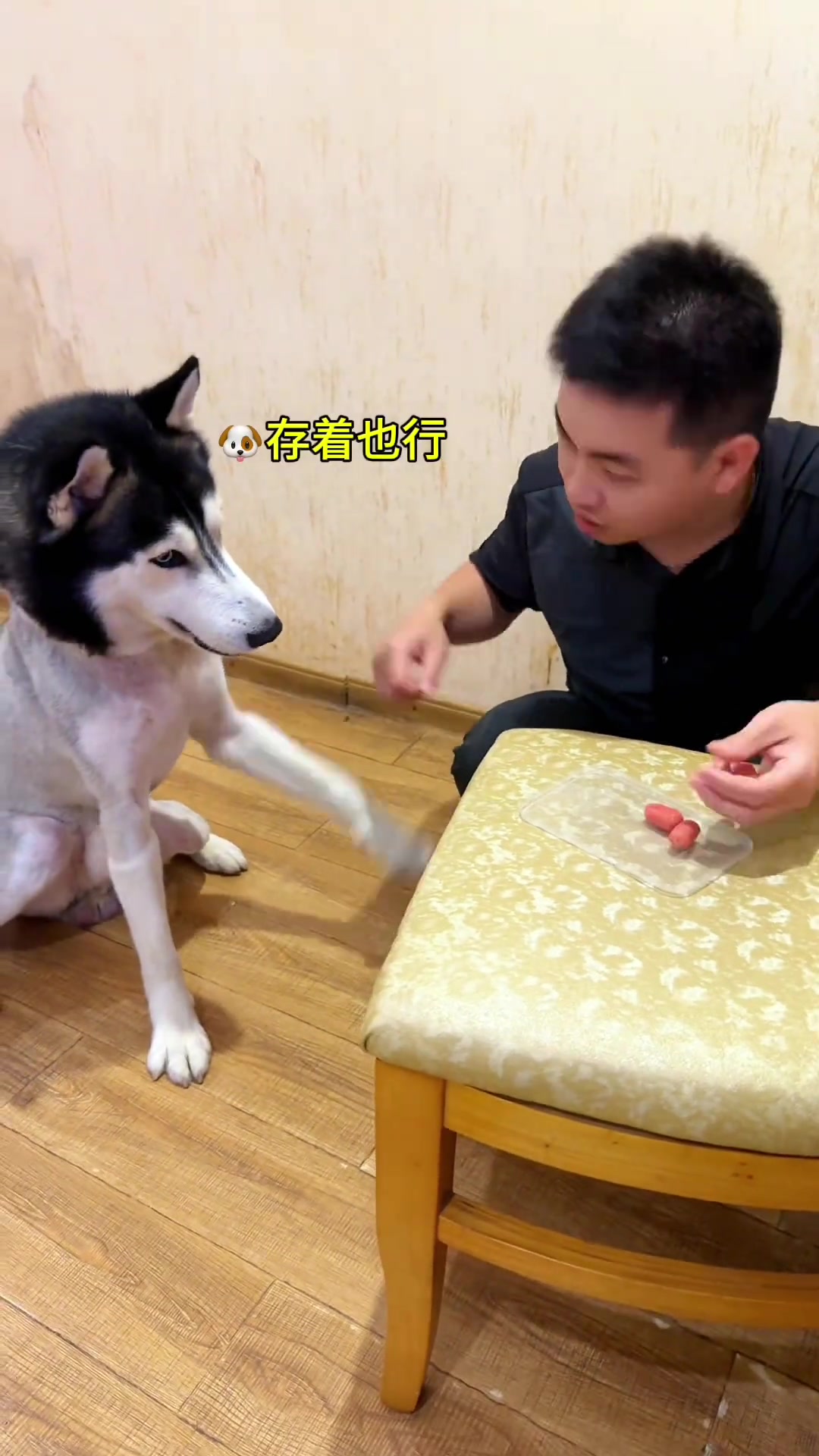 狗：你是真的狗