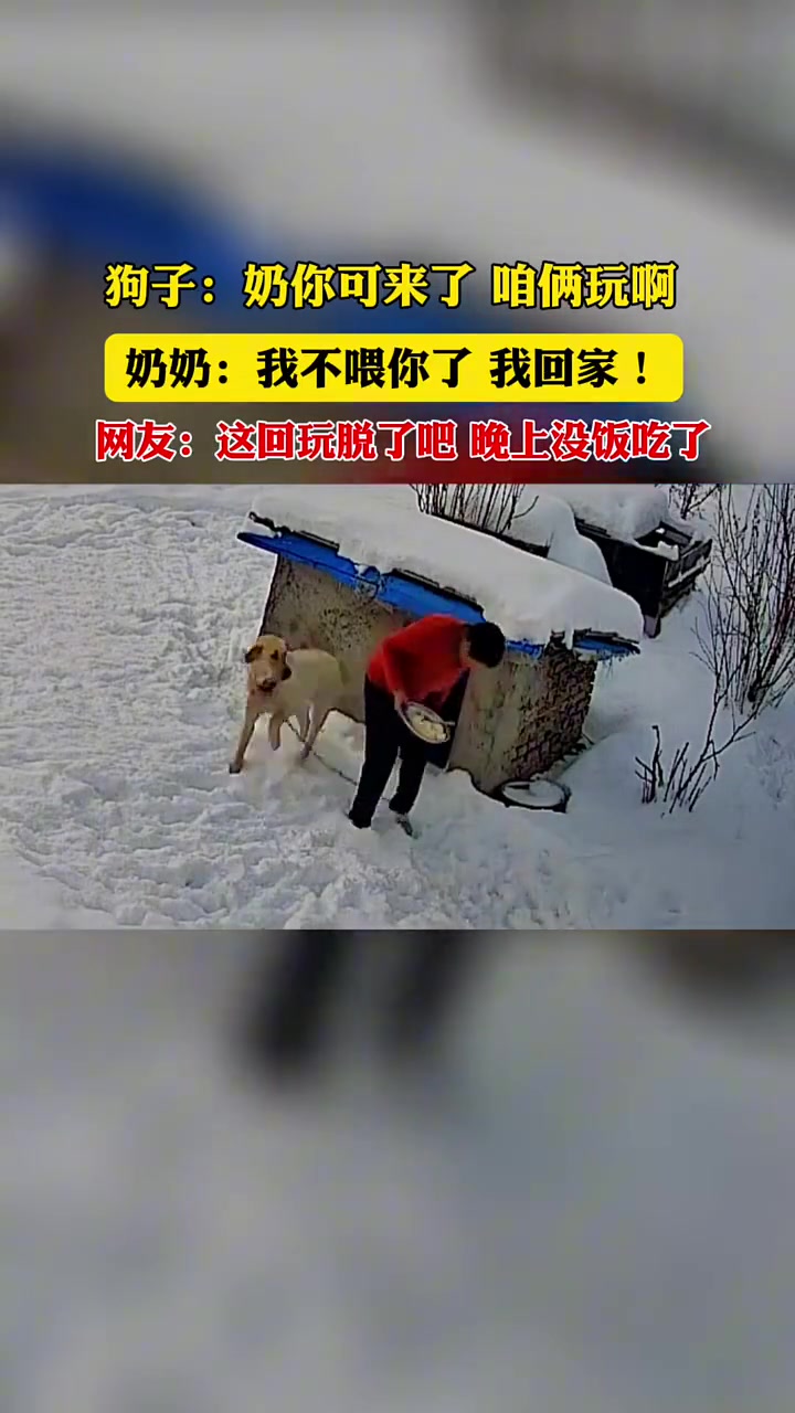 拉布拉猪：完了，少吃这一顿不得给我饿成干巴瘦儿
