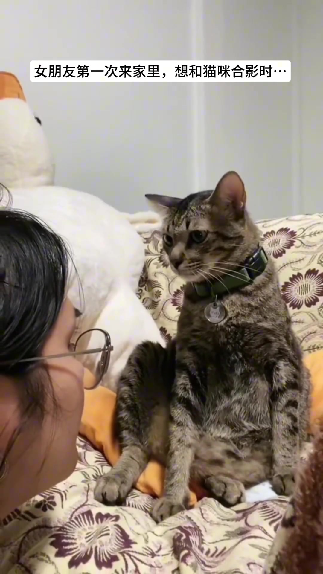 猫：滚，我不拍