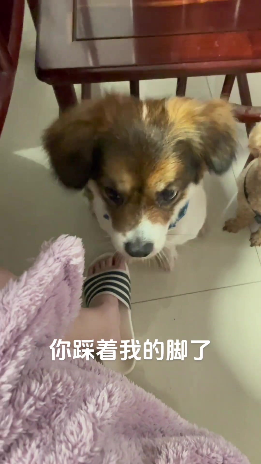 对方撤回了一只jio