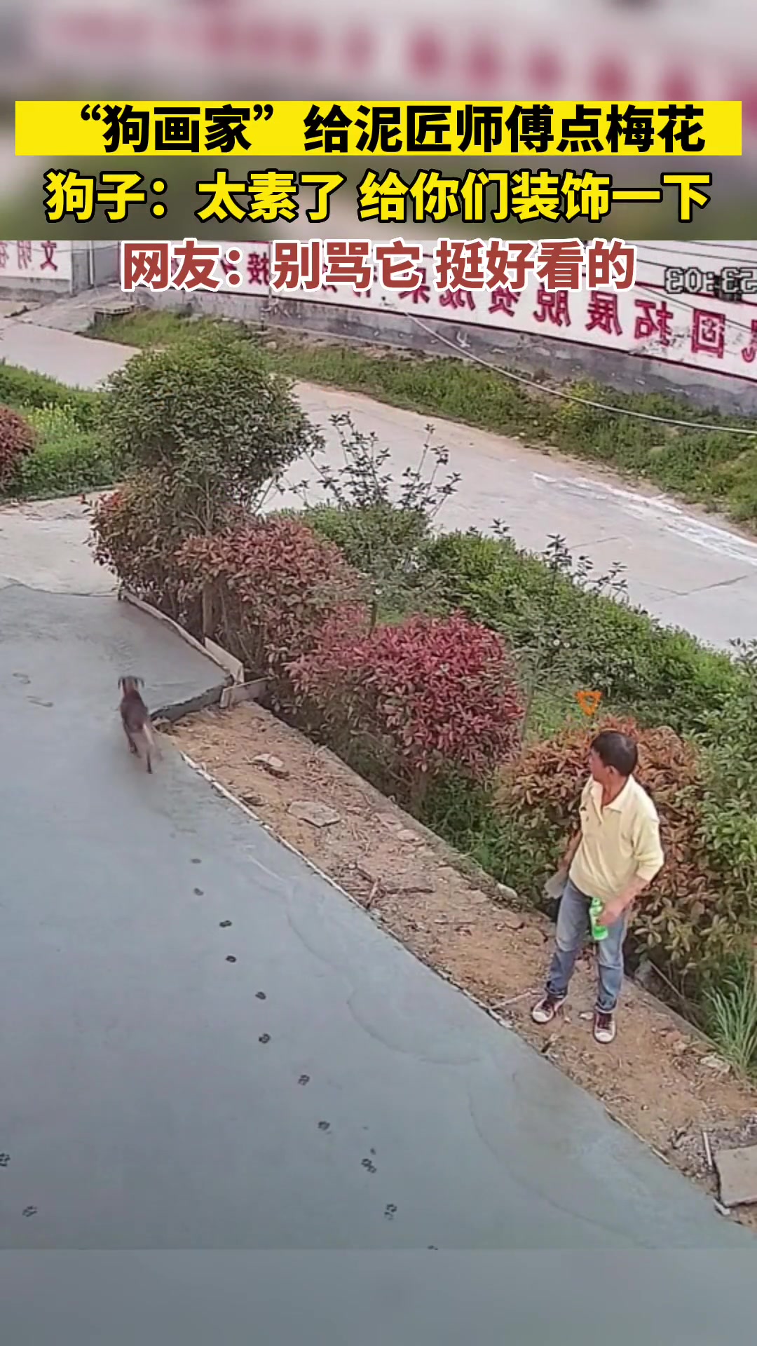 狗子：太素了，给你们画点梅花点缀一下