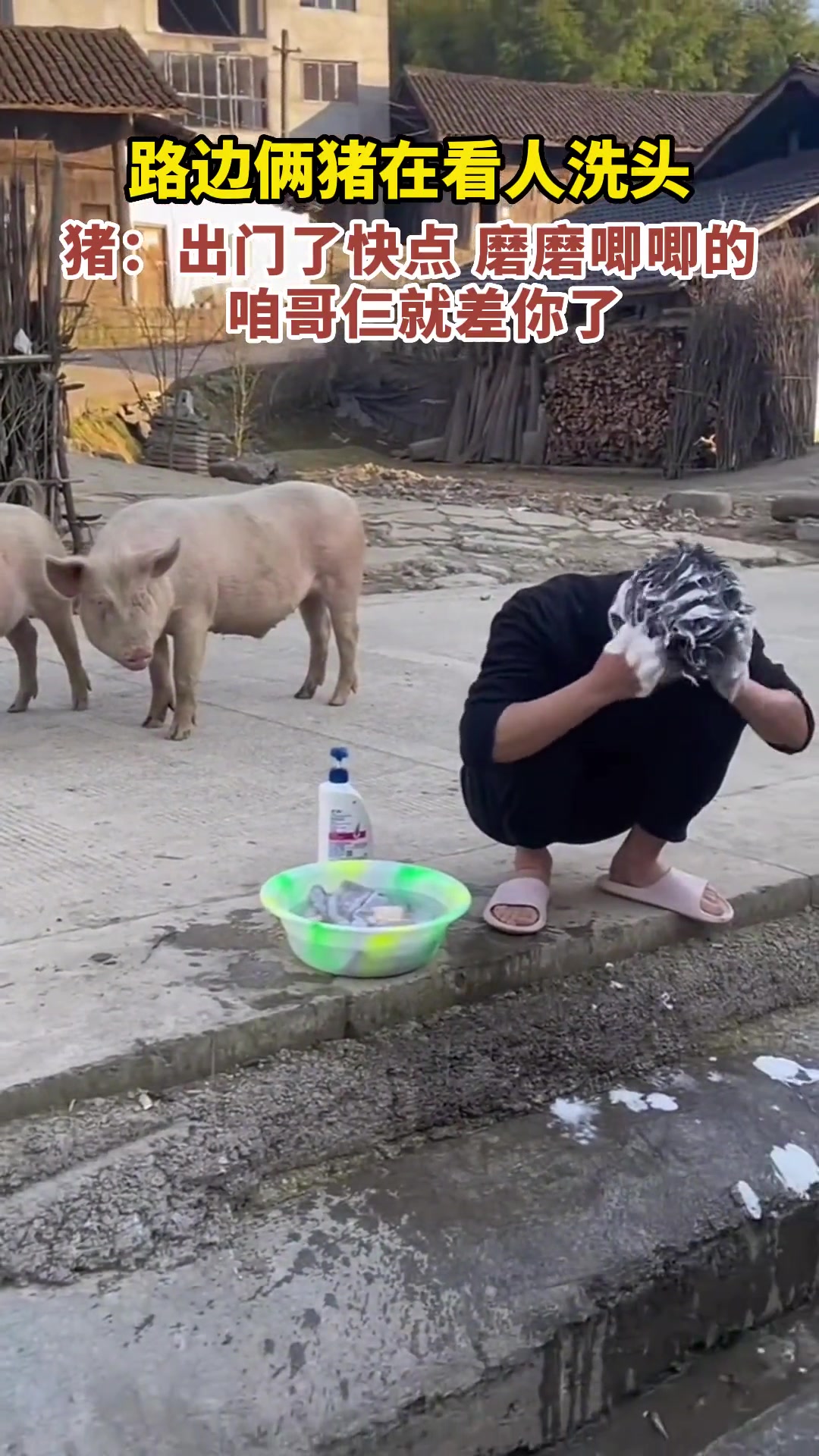 猪：你到是快点啊，三缺一就等你了