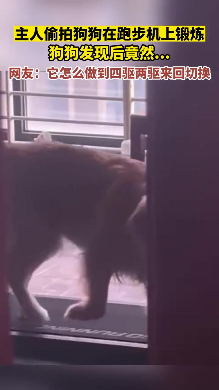 它是怎么做到四驱二驱来回切换的