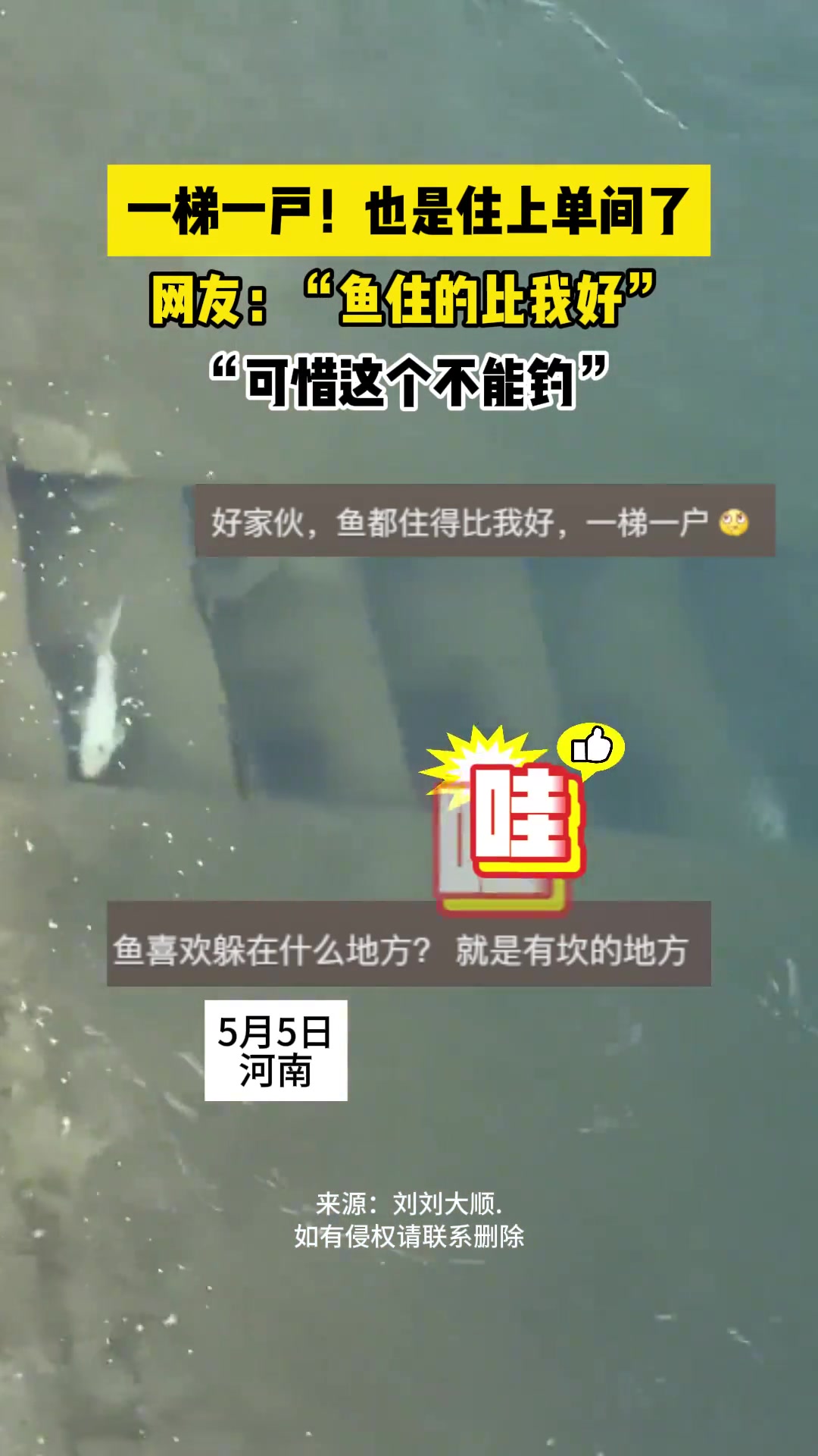 鱼住的比我好 可惜这个不能钓