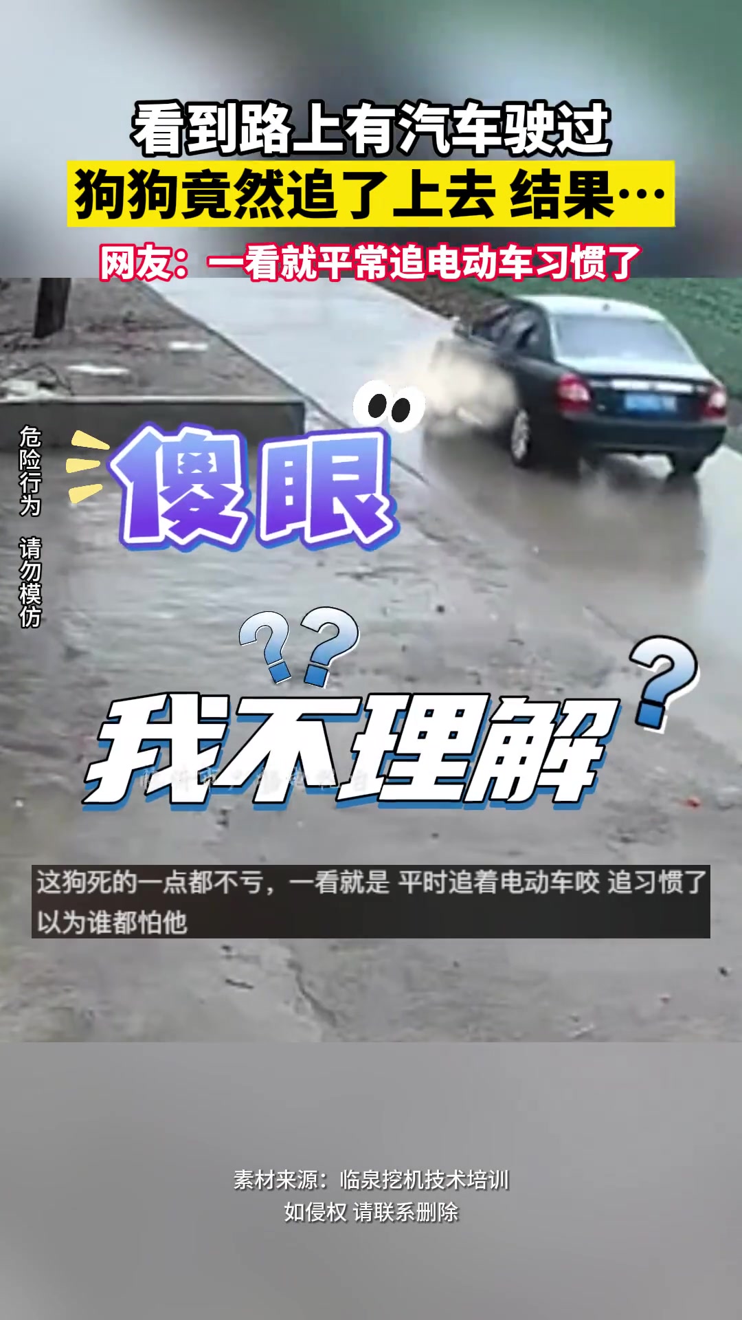 看到路上有汽车驶过 狗狗竟然追了上去 结果…