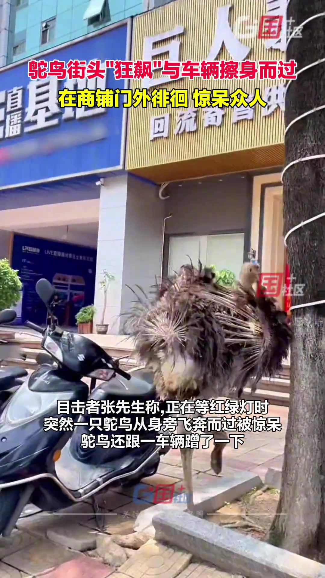 这是去应聘主播了 哈哈哈