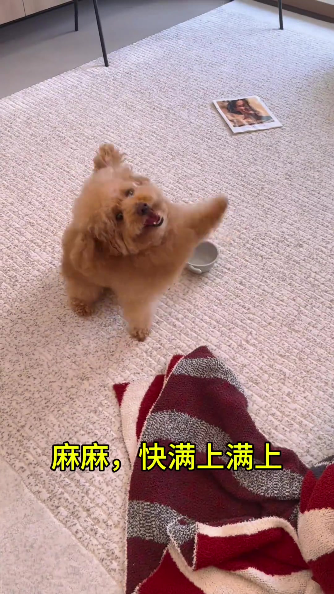 不是说好来你家是享福的吗？