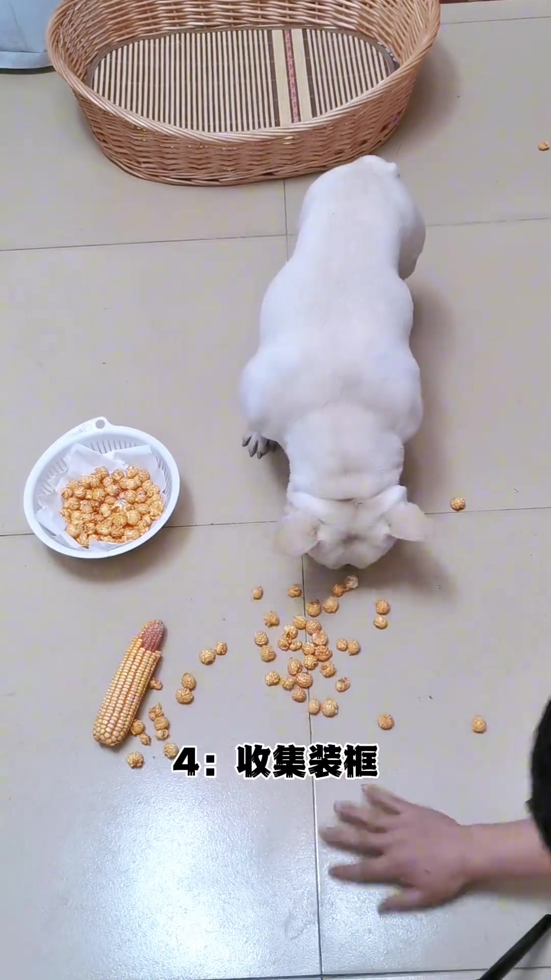 自己崩的爆米花，吃着放心！
