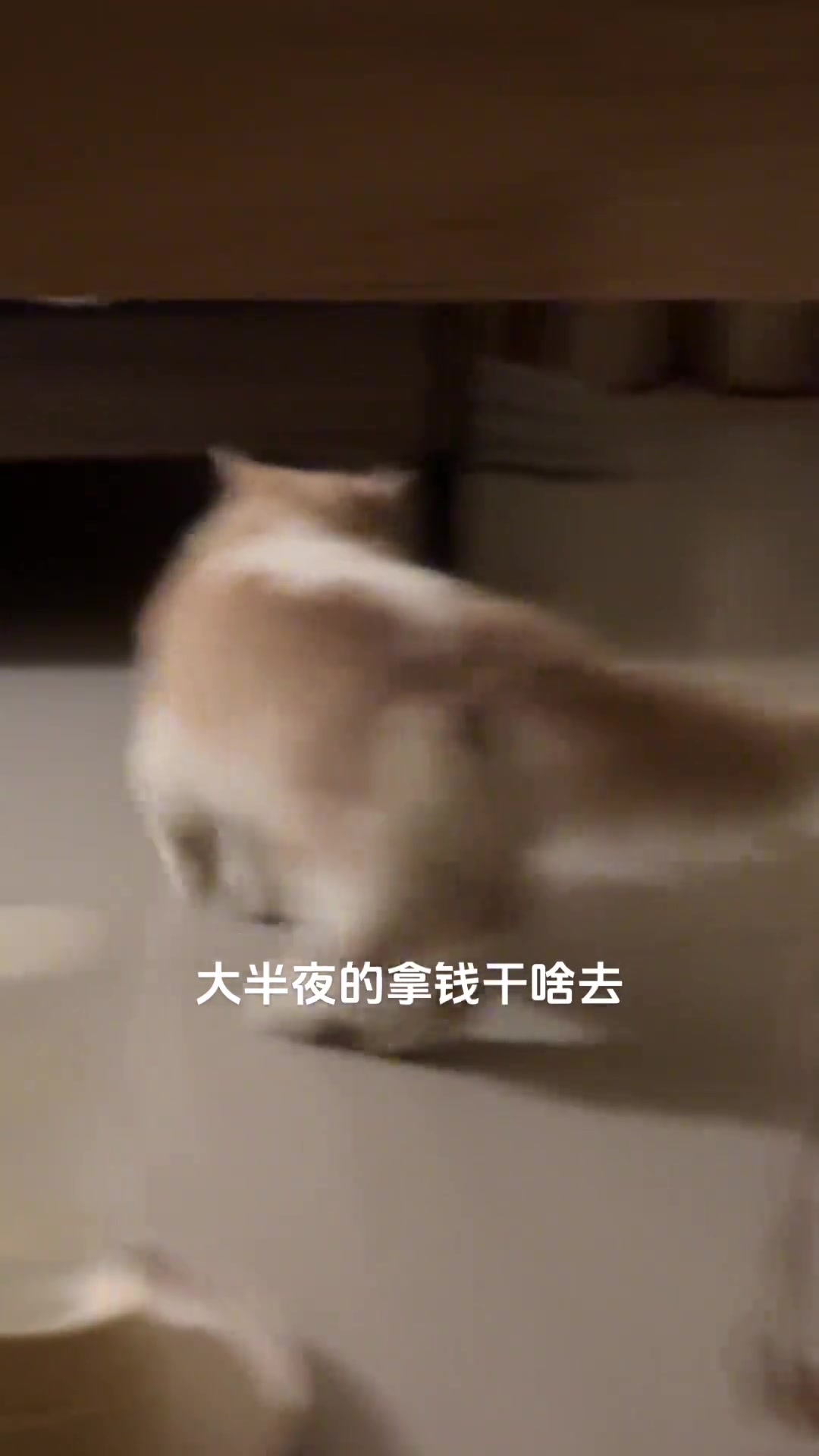 孩子饿了，整点小钱吃吃宵夜
