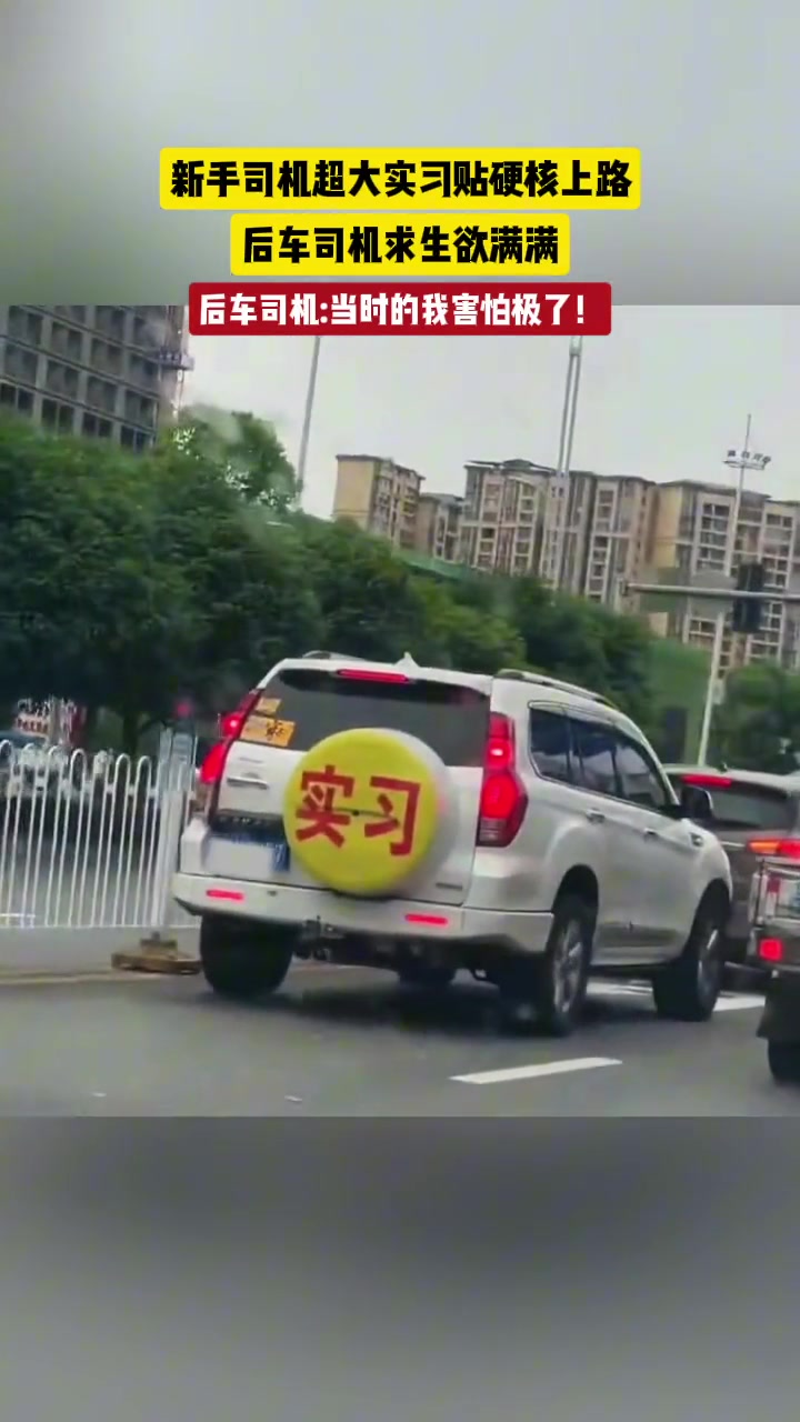新手司机超大实习贴硬核上路，后车司机求生欲满满