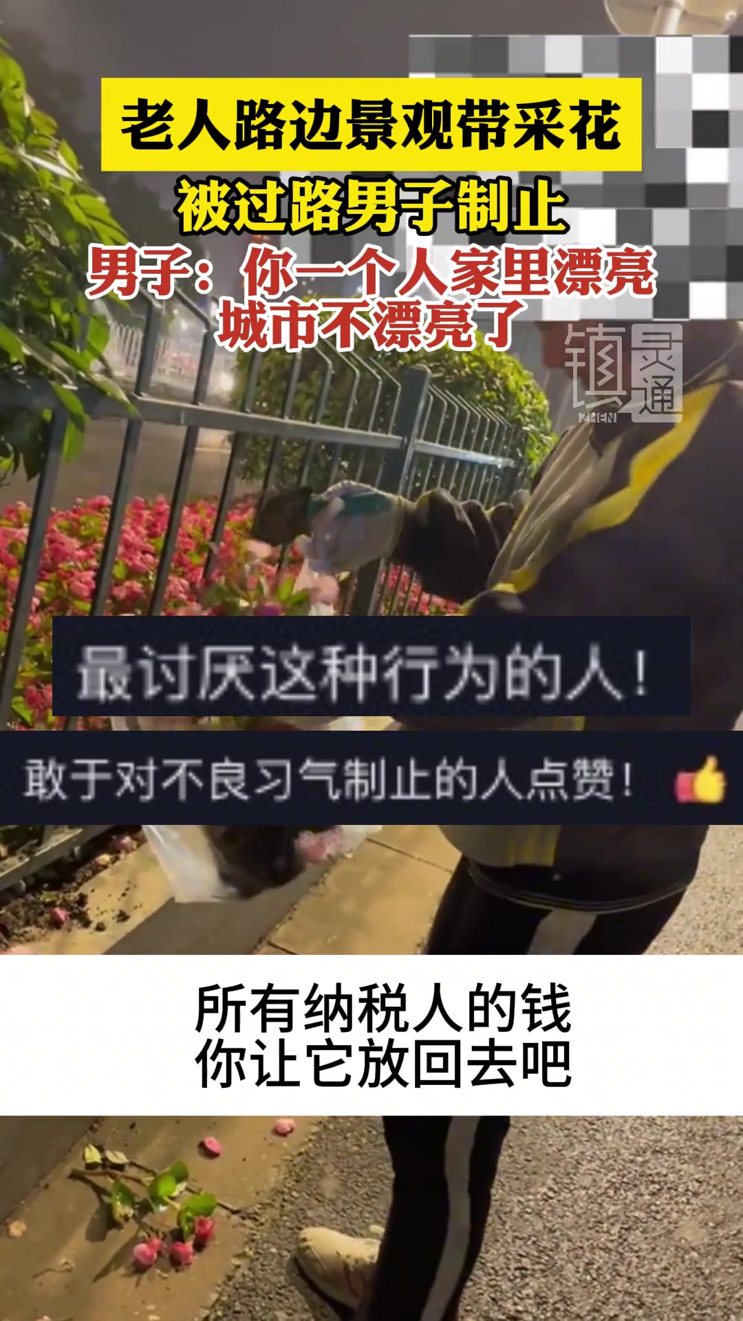 老人路边景观带采花被过路男子制止