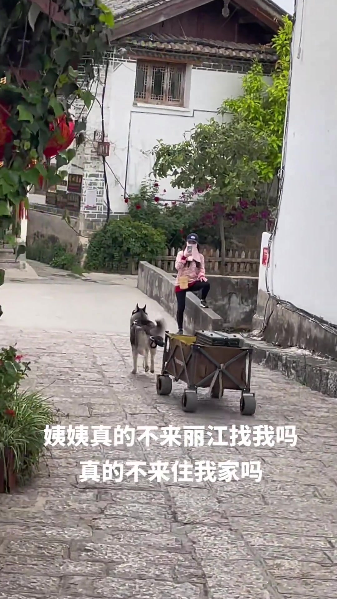 姨姨真的不来丽江找我拉行李吗？