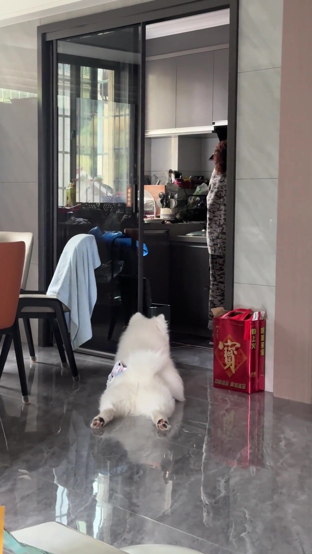 救命！可爱到爆炸了