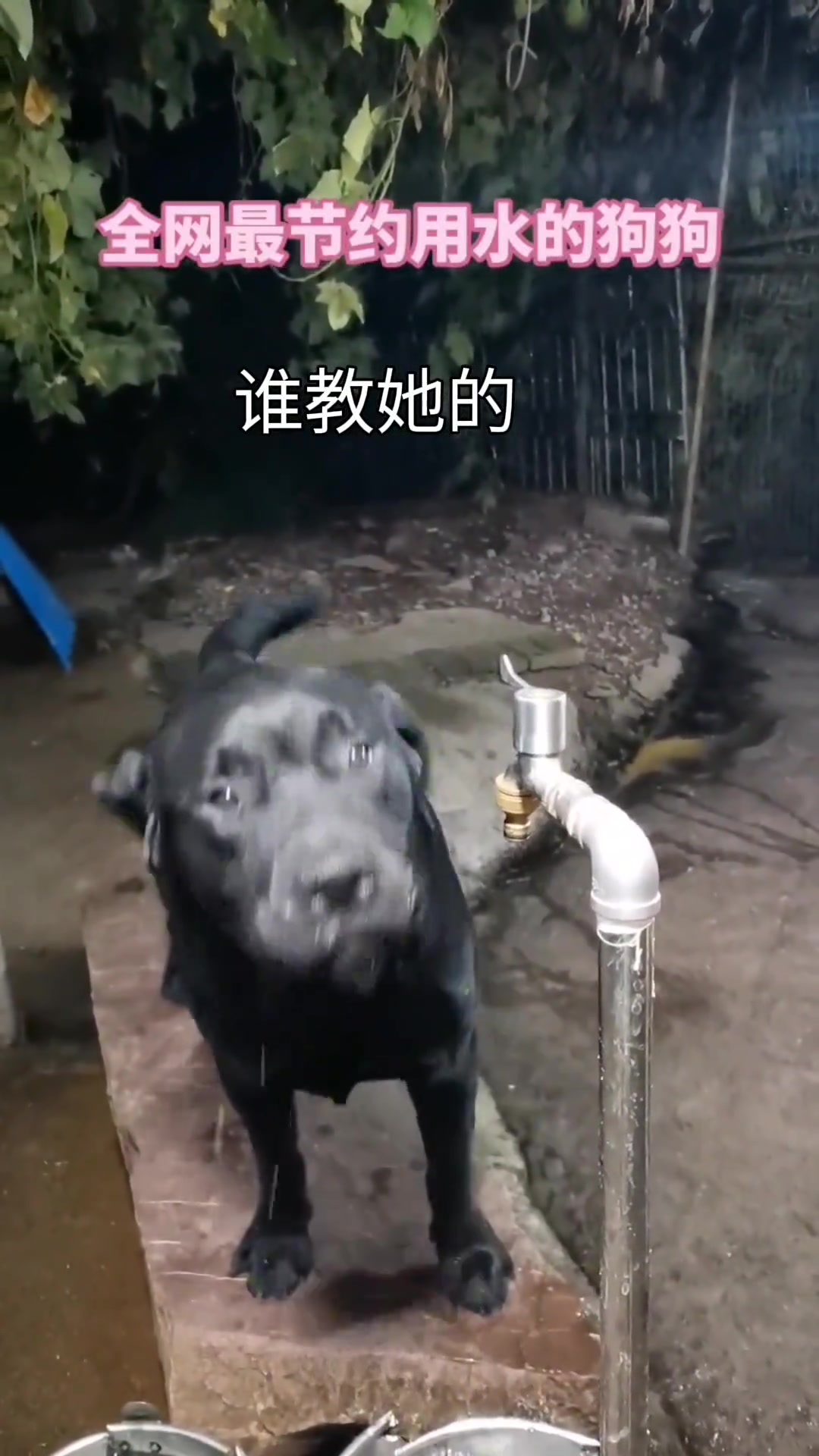 没有一个动作是多余的