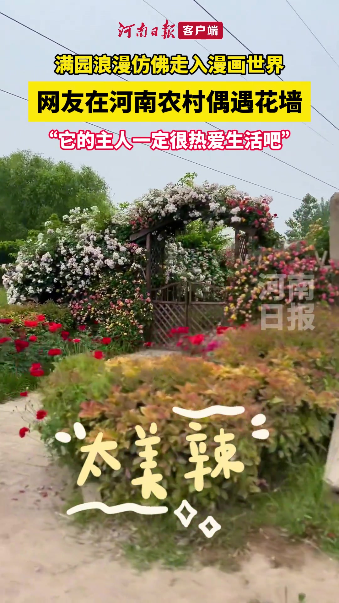 偶遇的浪漫最让人心动！仿佛走进漫画中的世界。