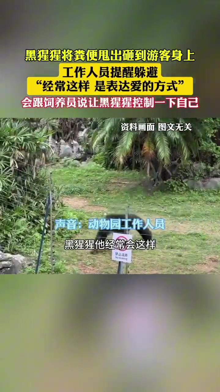 黑猩猩将粪便向外甩出砸到游客身上，这是特别的猿粪