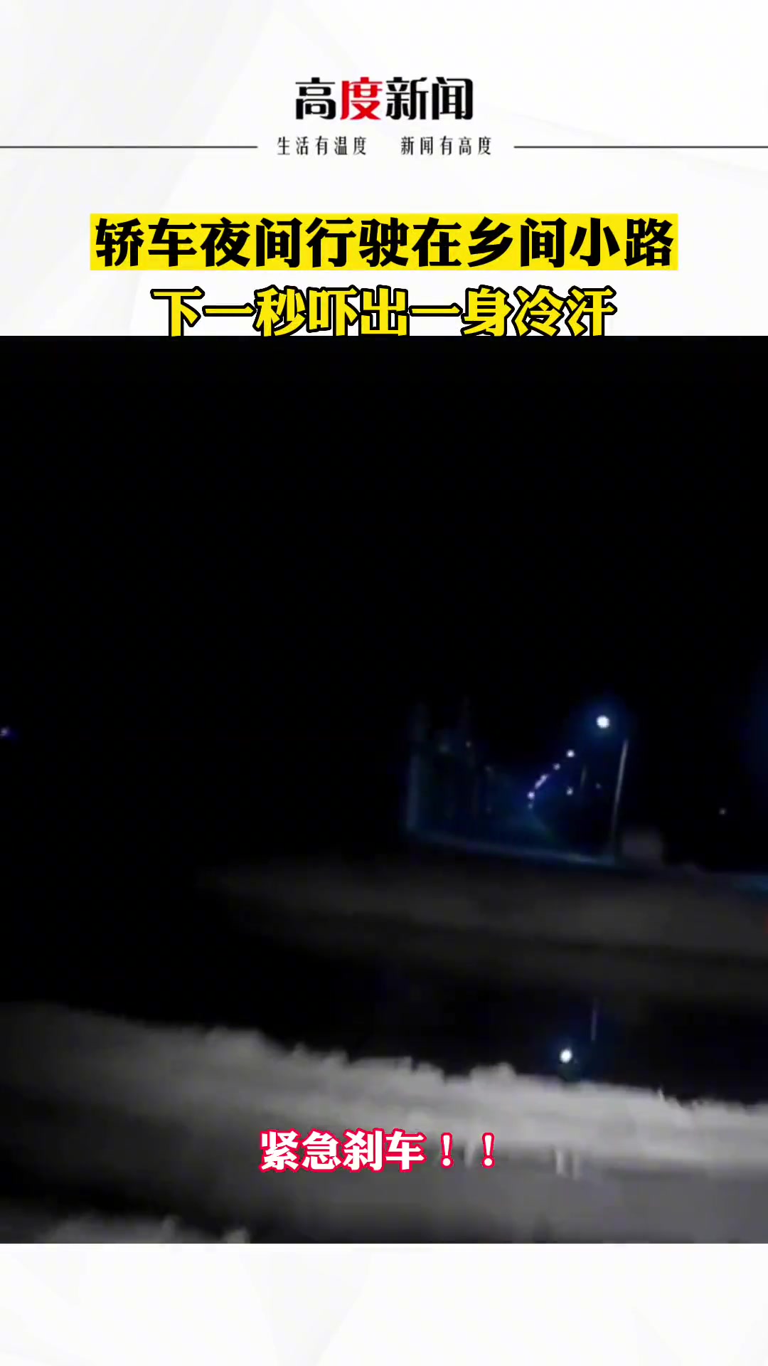 轿车夜间行驶在乡间小路 下一秒吓出一身冷汗…