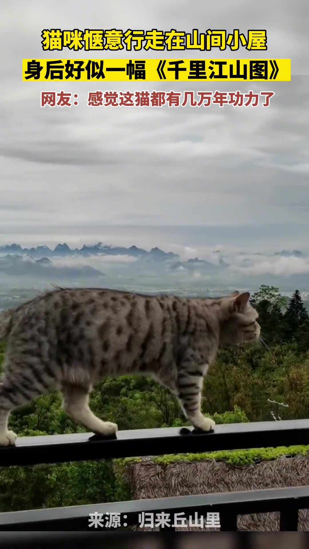猫咪惬意行走在山间小屋，身后好似一幅《千里江山图》
