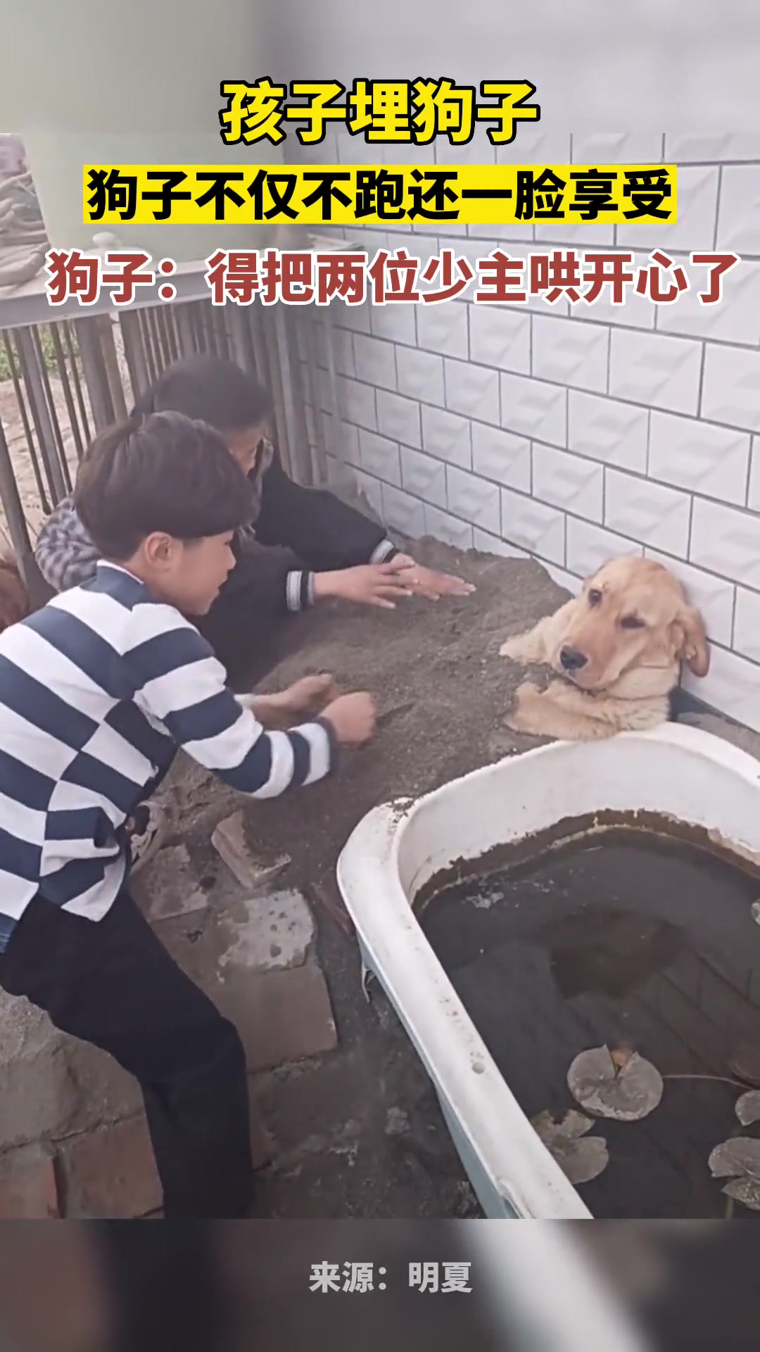 孩子埋狗子，狗子不仅不跑还一脸享受