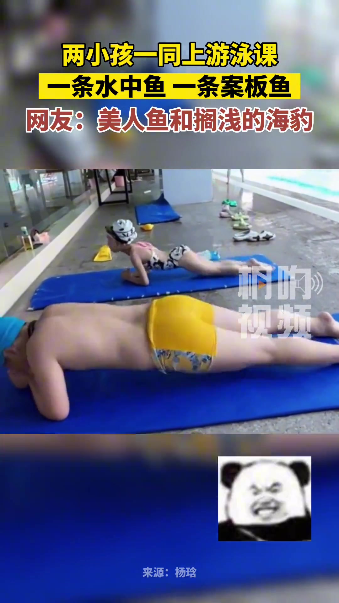 两小孩一同上游泳课，一跳水中鱼，一跳案板鱼