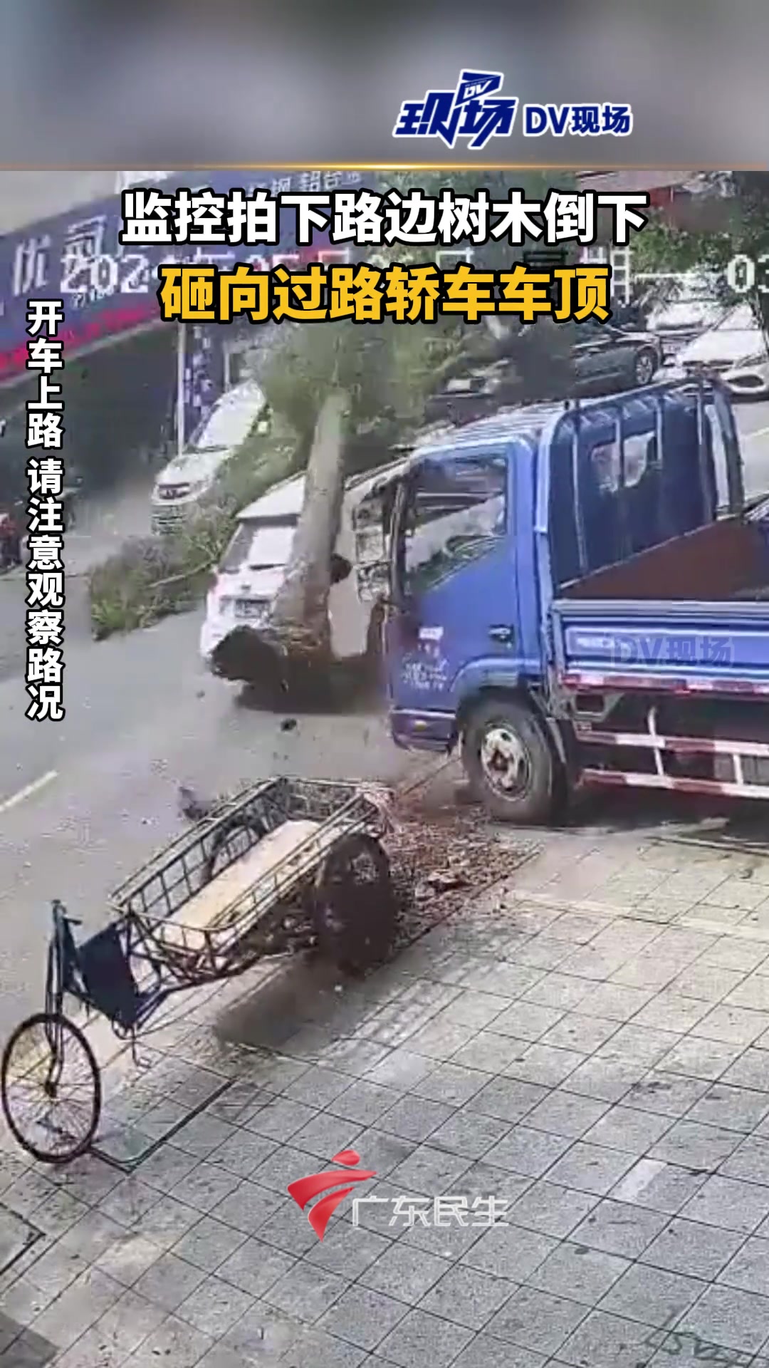 监控拍下路边树木倒下 砸向过路轿车车顶