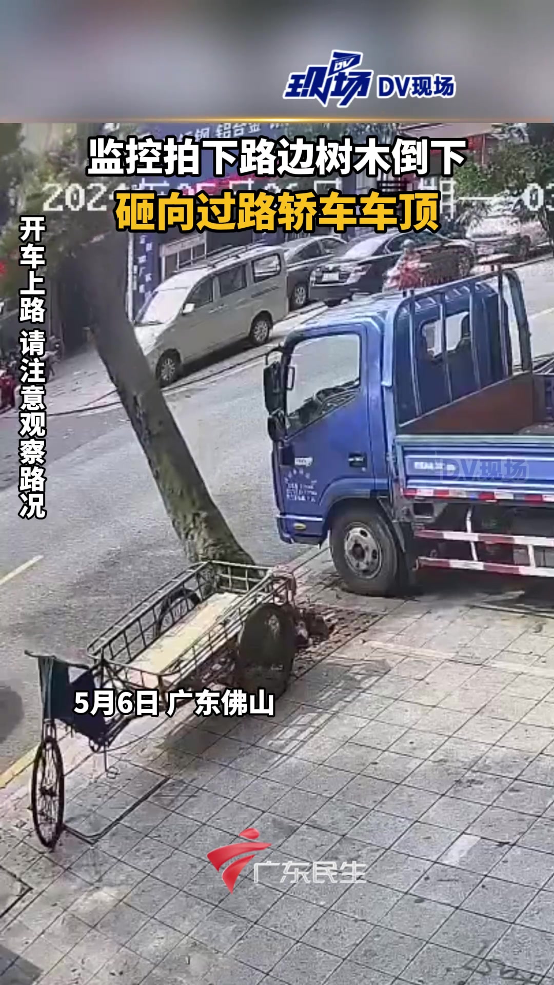 监控拍下路边树木倒下，砸向过路轿车车顶！