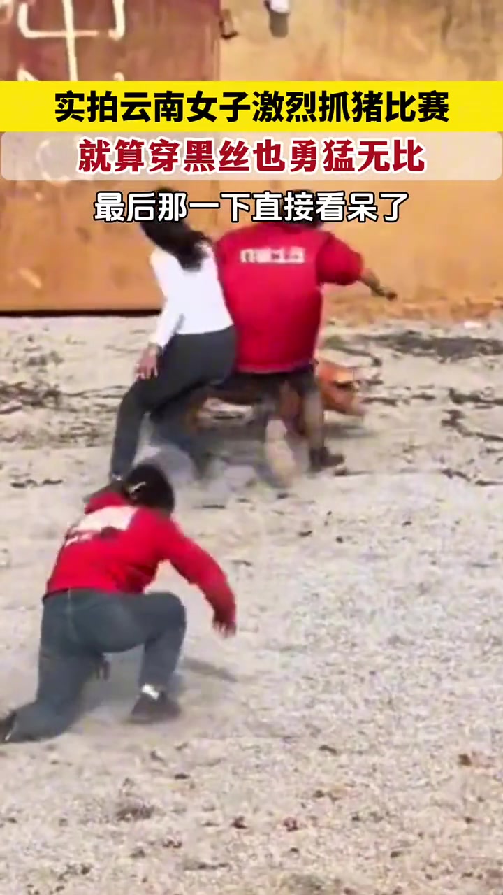 实拍云南女子激烈抓猪比赛