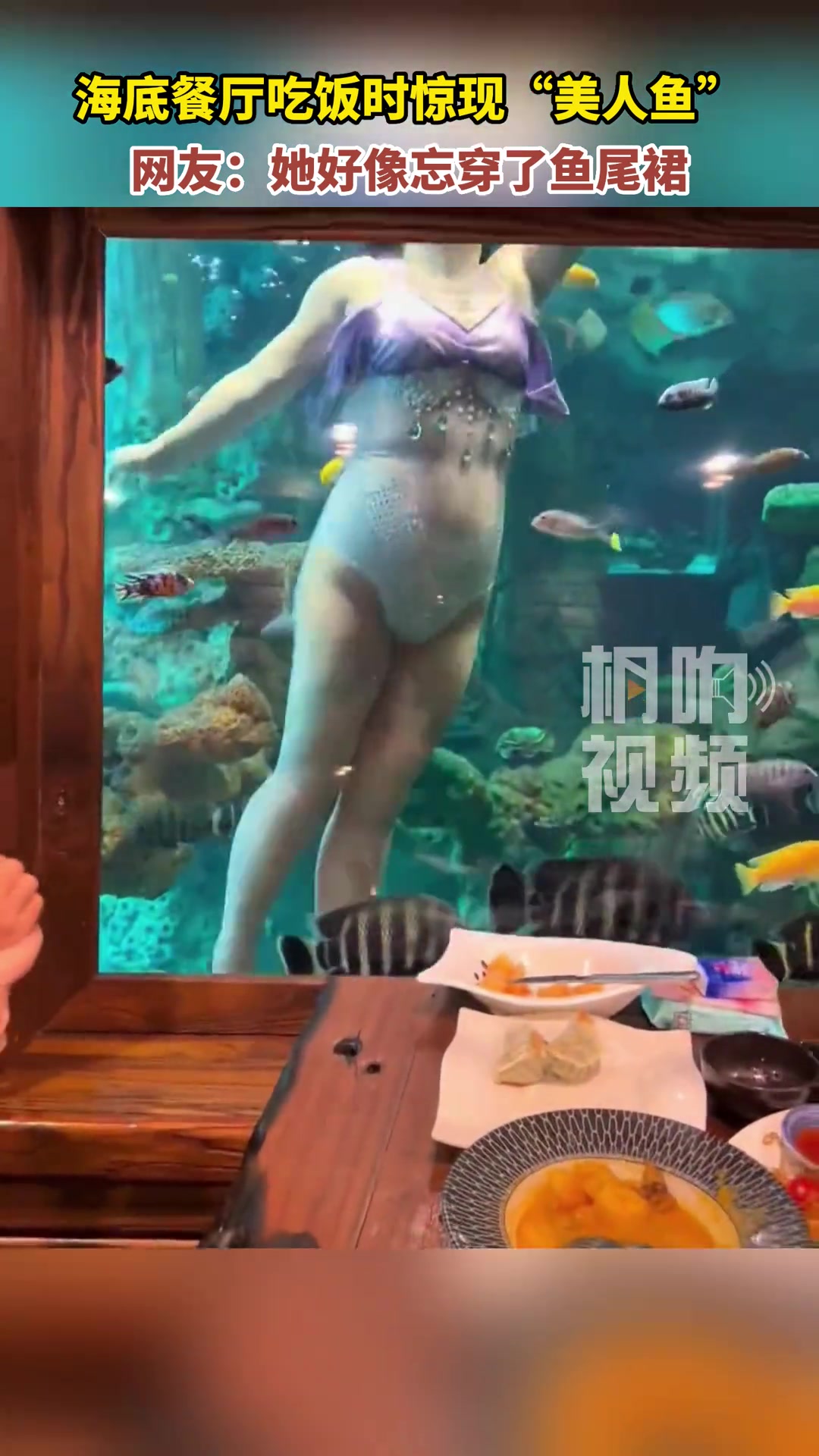 海底餐厅吃饭时惊现“美人鱼”，但是好像忘穿了鱼尾裙