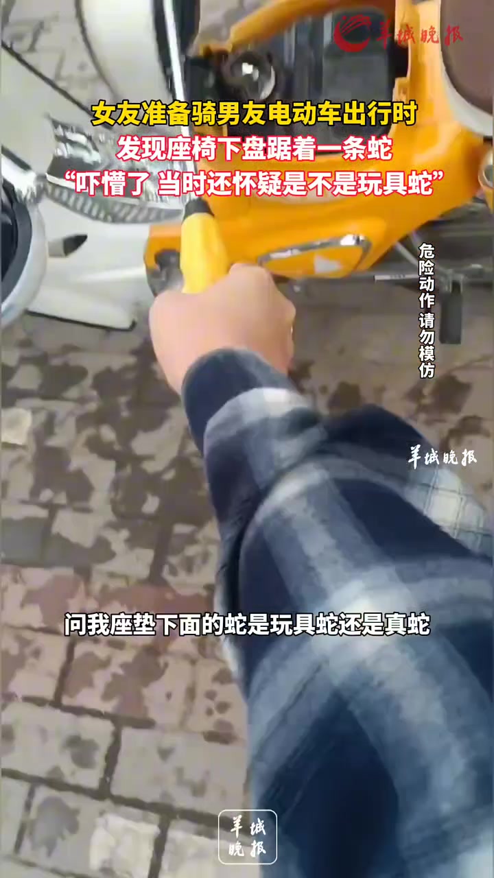 恐怖！女朋友屁股差点被蛇咬了！